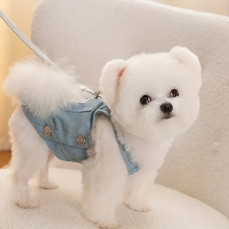 Dog Jumpsuit in denim