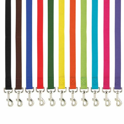 Casual Canine Nylon Lead - Yellow