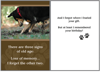 Birthday Pet Greeting Card - Buried Gift