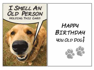 Birthday Pet Greeting Card - I Smell An Old Person