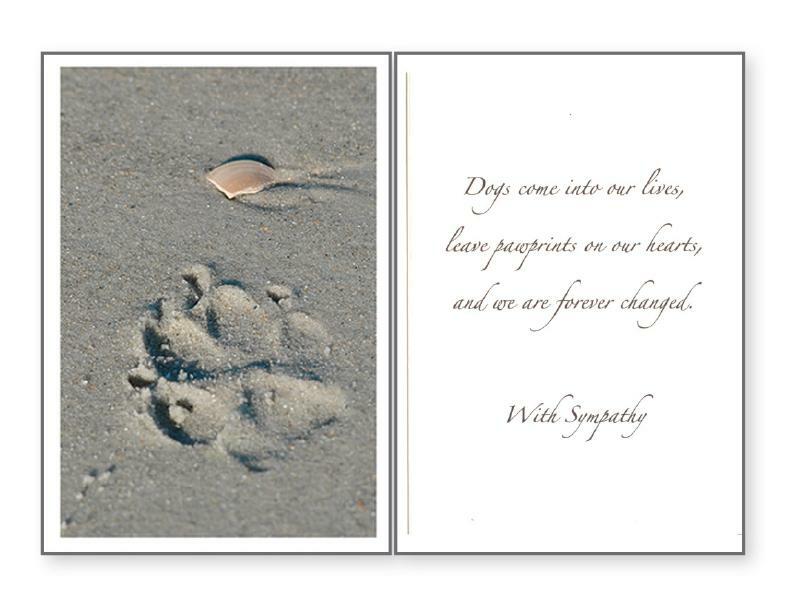 Pet Sympathy Greeting Card - Paw Prints On Our Hearts