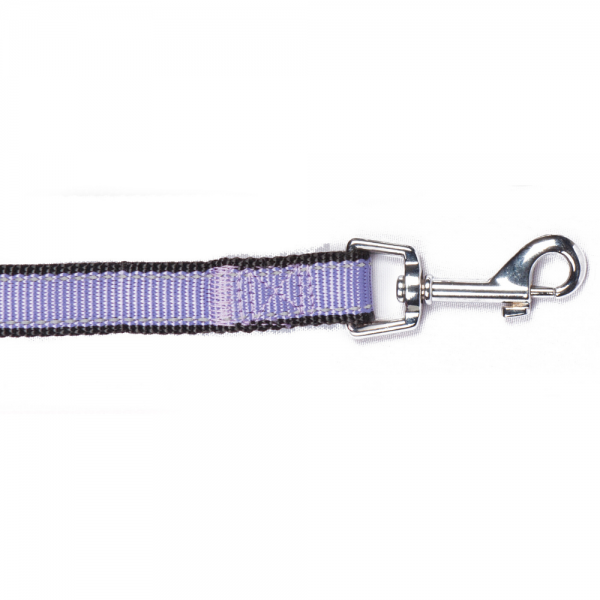 Bark Appeal Reflective Trim 5-ft Dog Leash