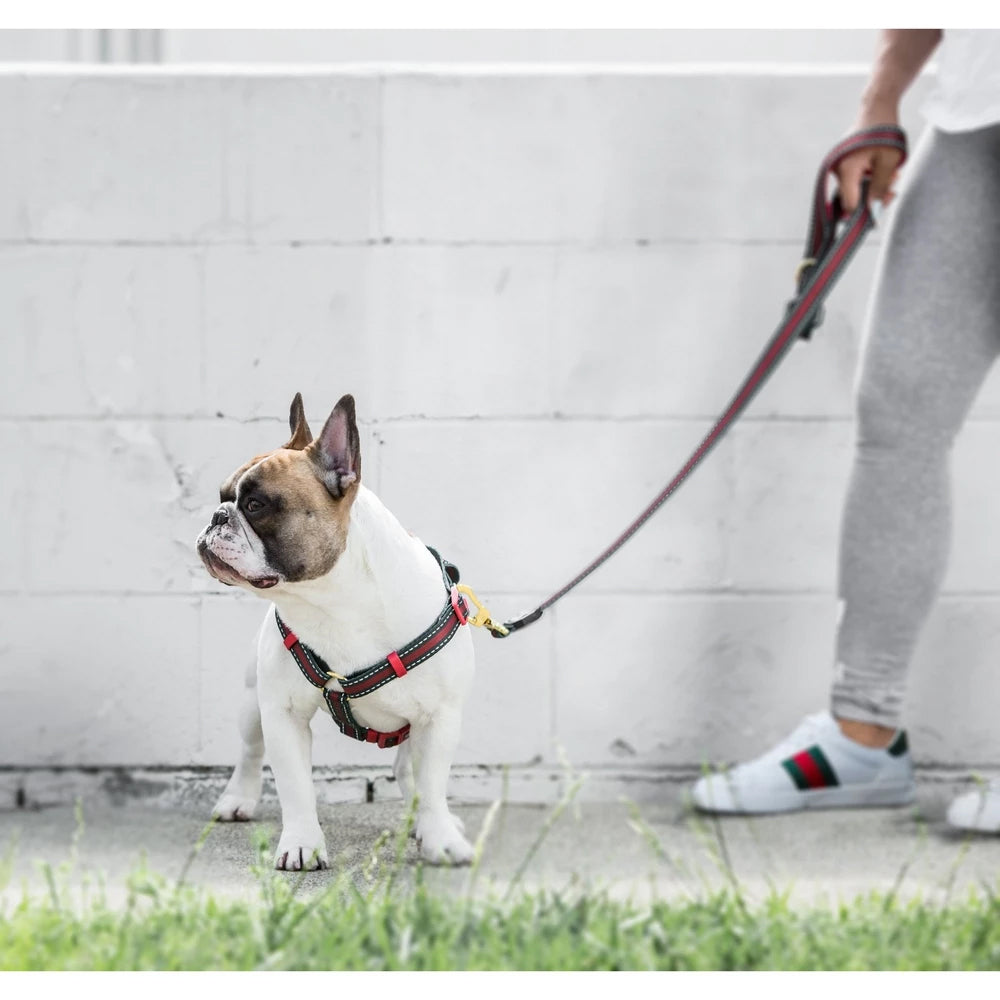 Fresh Pawz G-Stripe Reflective Dog Harness