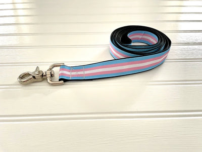 Thimble & Thread Transgender Pride Dog Leash