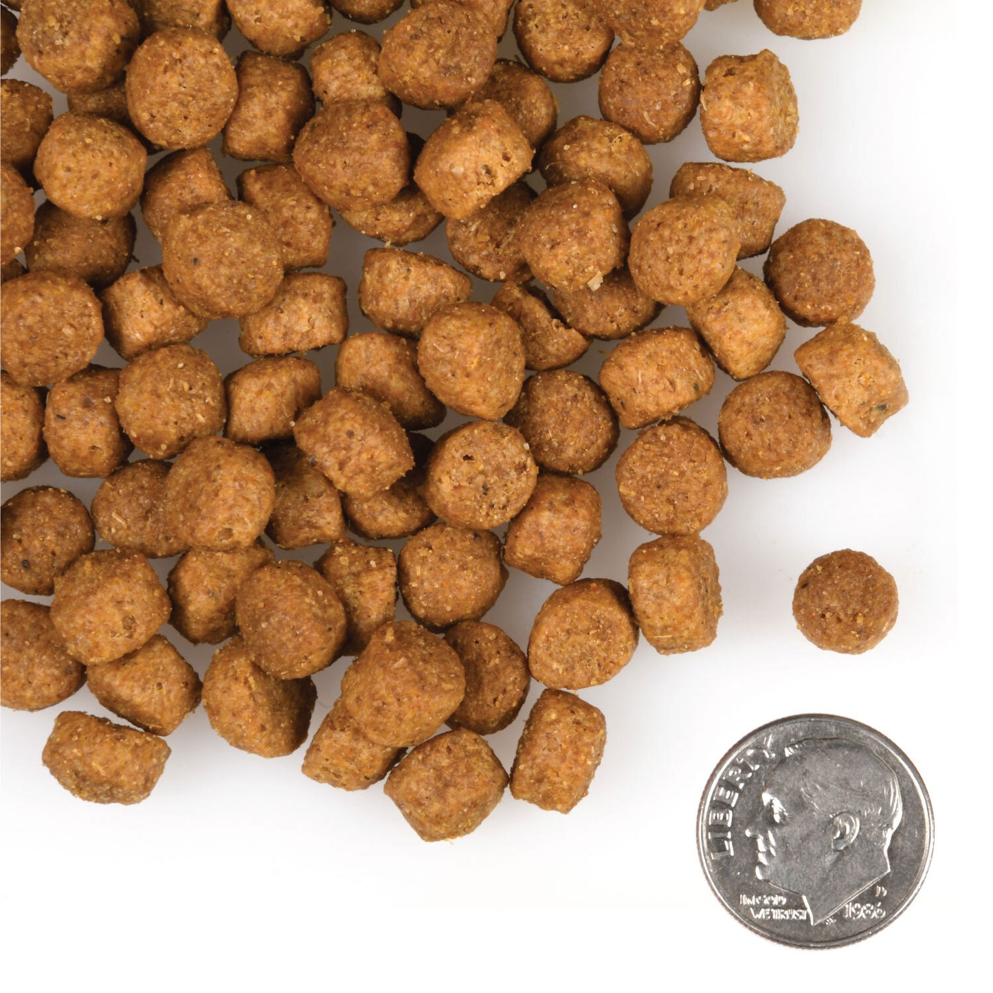 Fromm Gold Large Breed Puppy 15lbs