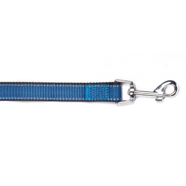 Bark Appeal Reflective Trim 5-ft Dog Leash Color Blue