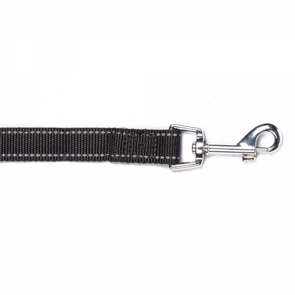 Bark Appeal Reflective Trim 5-ft Dog Leash Color Black
