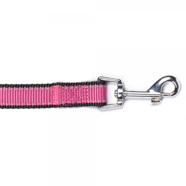 Bark Appeal Reflective Trim 5-ft Dog Leash Color Raspberry