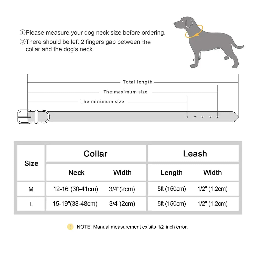 Braided Dog Collar and Leash Set