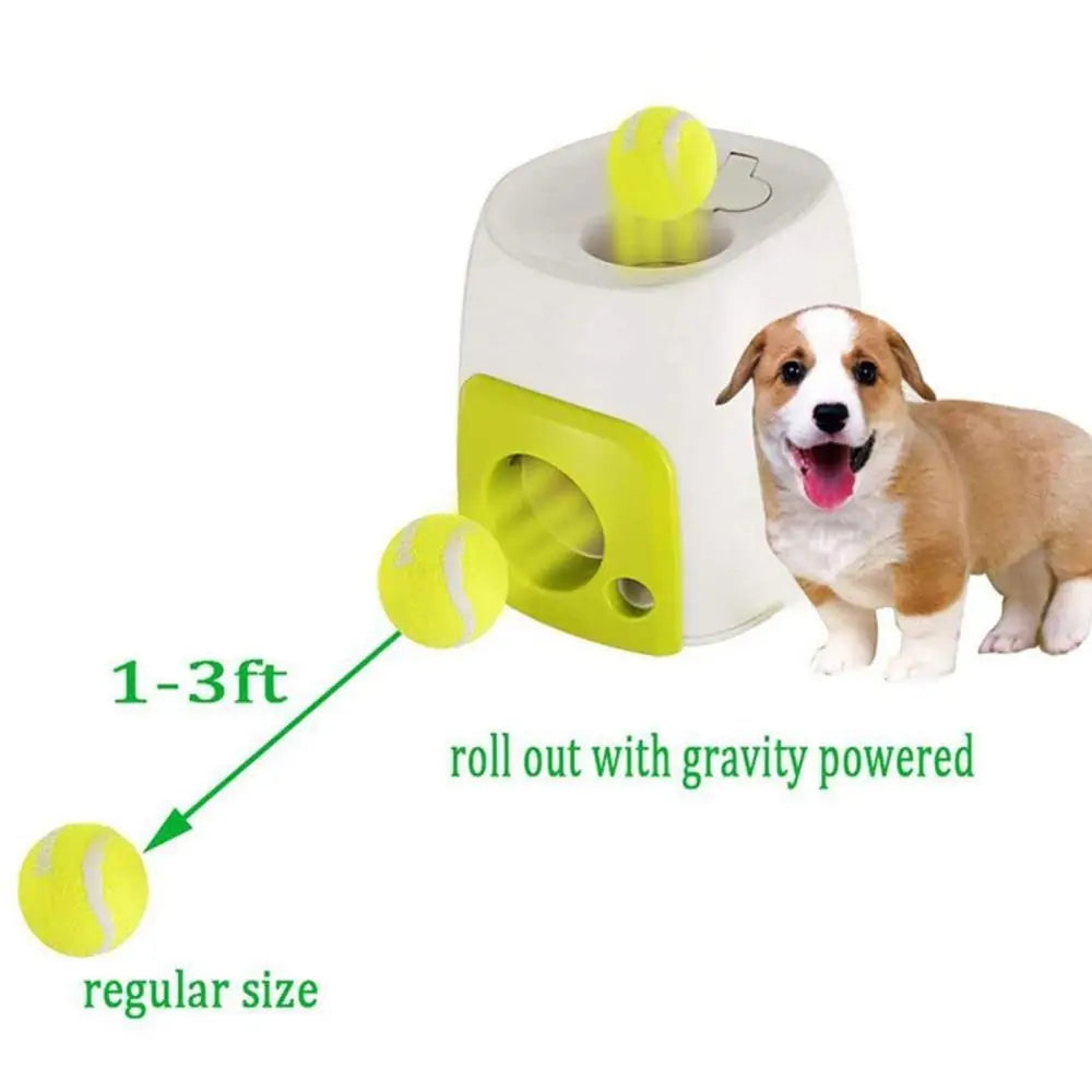 Automatic Ball Launcher Dog Toy