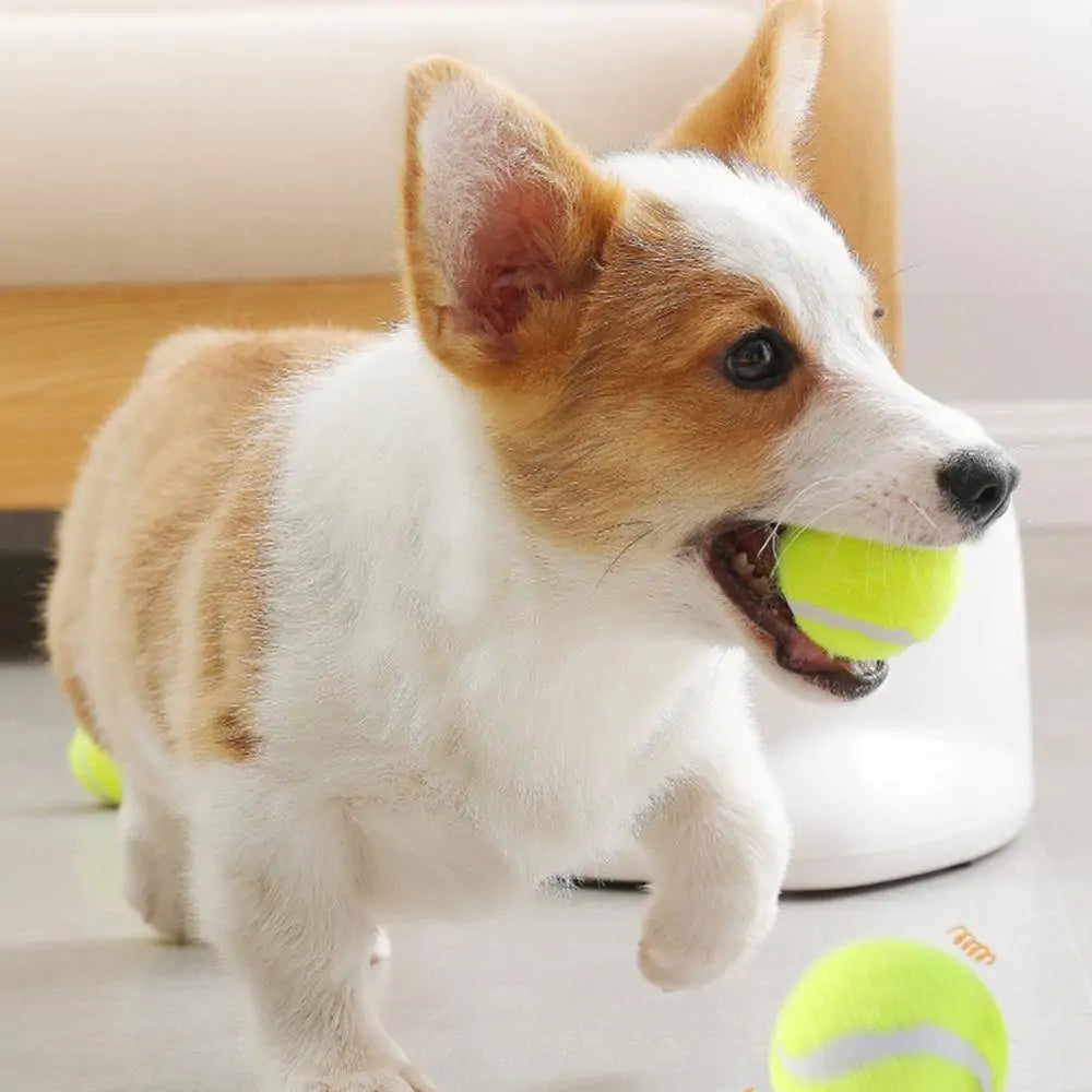 Automatic Ball Launcher Dog Toy
