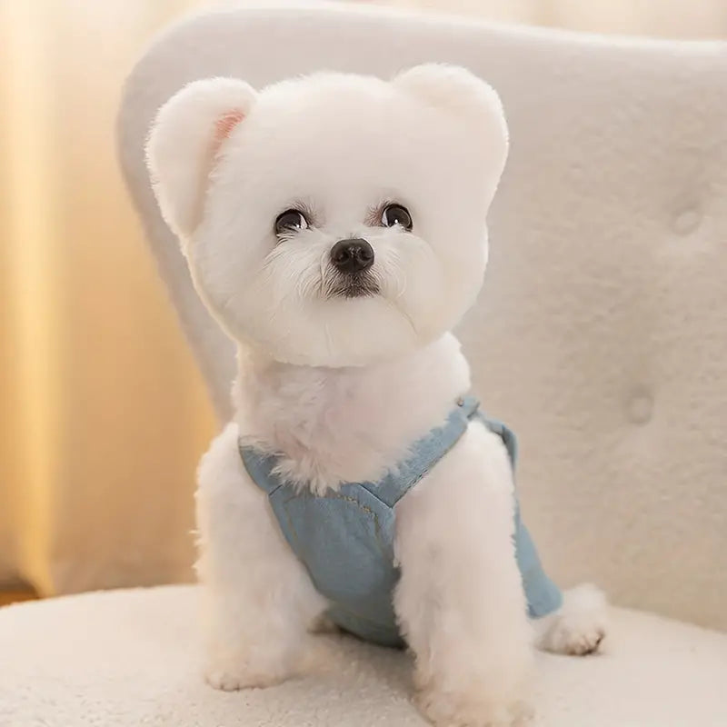 Dog Jumpsuit in denim