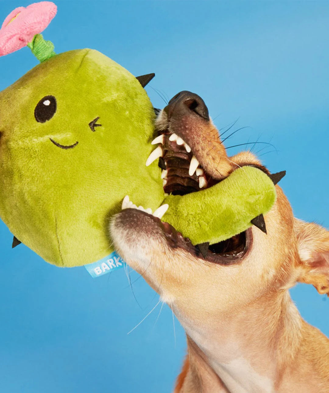Consuela the Cactus Dog Toy Plush Dog Toy | BARK