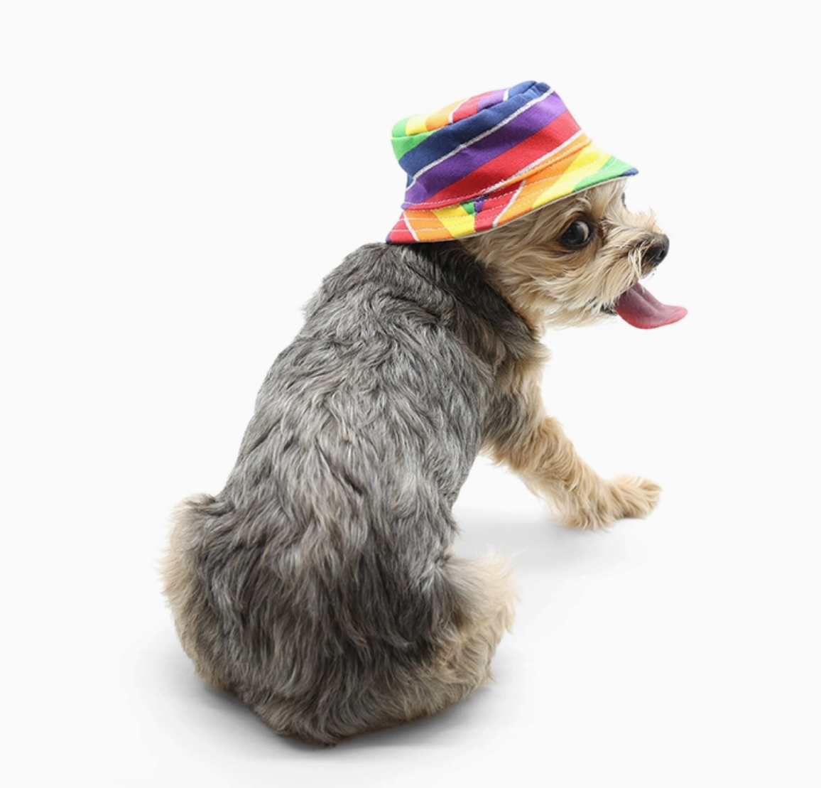 Bucket Hat Rainbow