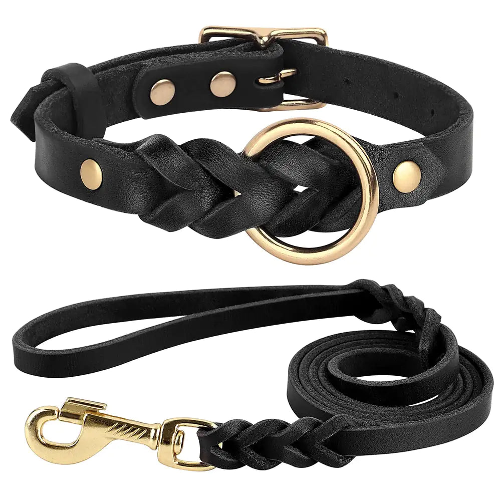 Braided Dog Collar and Leash Set