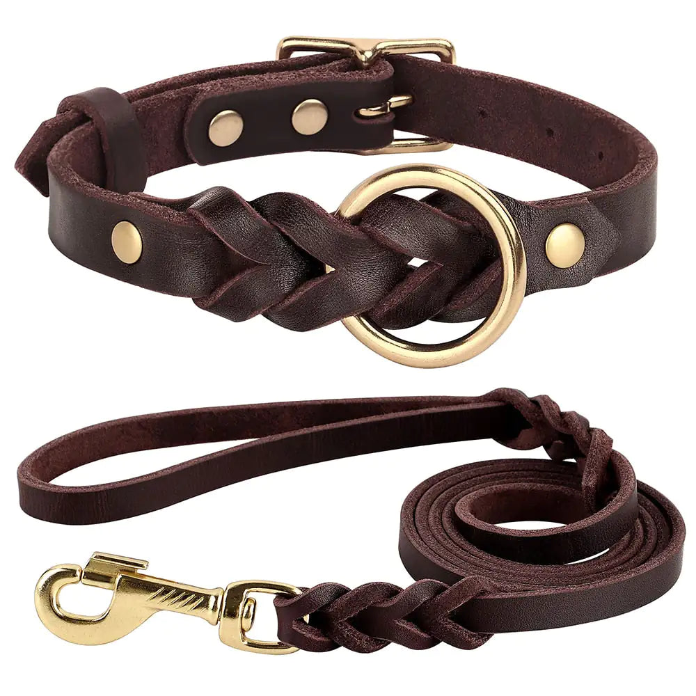 Braided Dog Collar and Leash Set