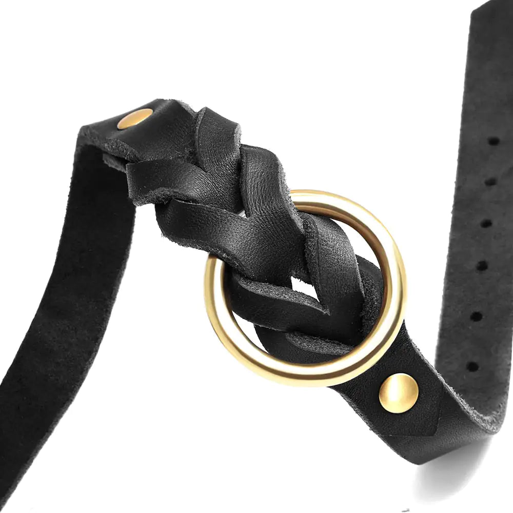 Braided Dog Collar and Leash Set