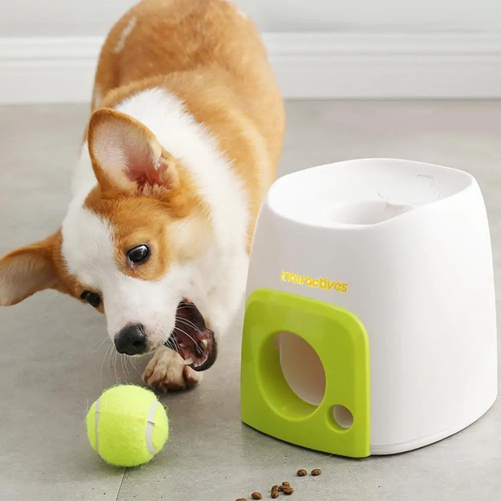 Automatic Ball Launcher Dog Toy