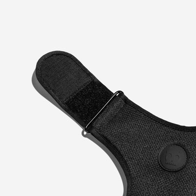 Black Harness Adjustable Air Mesh Gotham | Zee Dog
