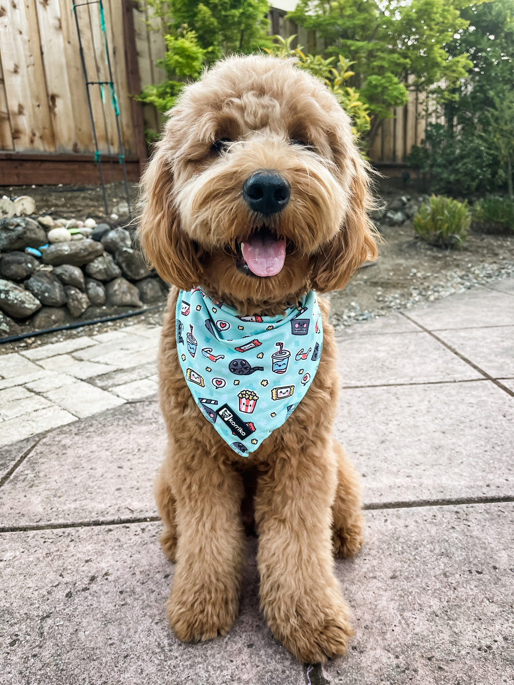 PupFix Cooling Bandana