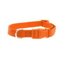 Casual Canine Nylon Dog Collar - Orange