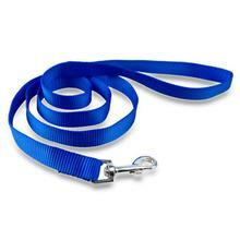 Casual Canine Nylon Lead - Blue