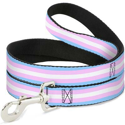 Buckle-Down Transgender Pride Dog Leash