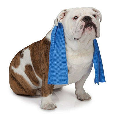 Cool Pup Pet Cooling Towel