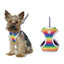 EasyGo Rainbow Dog Harness With Leash