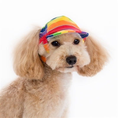 Dogo Rainbow Dog Hat