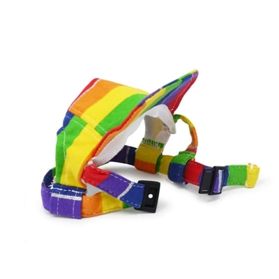 Dogo Rainbow Dog Hat