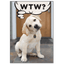 Birthday Pet Greeting Card - WTW? What The Woof