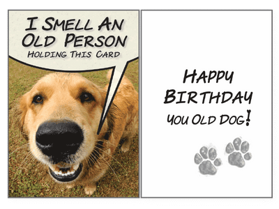 Birthday Pet Greeting Card - I Smell An Old Person