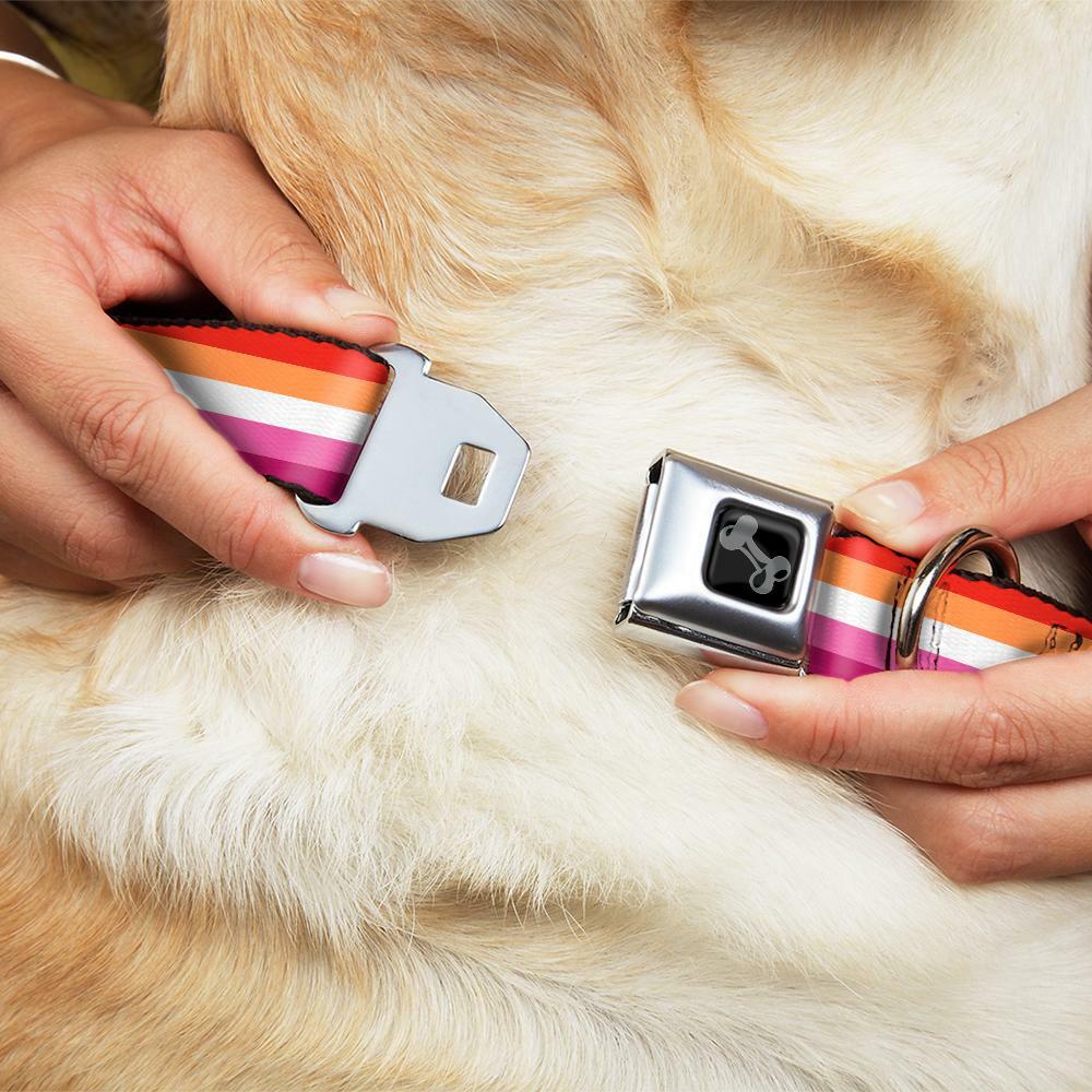 Buckle-Down Lesbian Pride Seatbelt Buckle Dog Collar