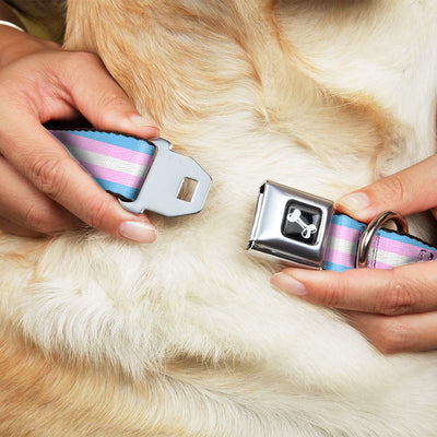 Buckle-Down Transgender Pride Seatbelt Buckle Dog Collar