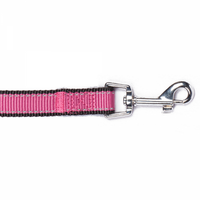 Bark Appeal Reflective Trim 5-ft Dog Leash