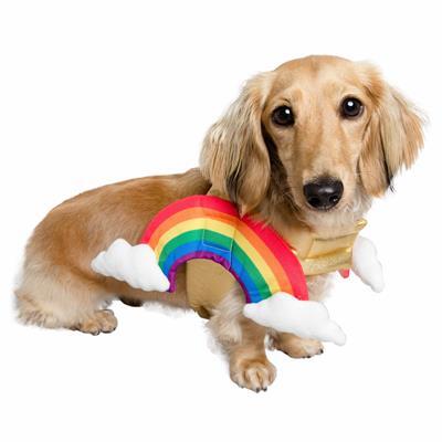 Pet Kreme  Rainbow Costume For Dogs