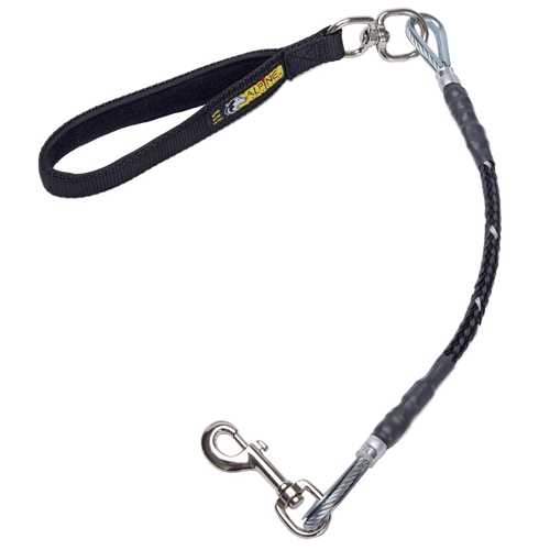 Alpine Chew-Proof Cable Filled 5-ft Dog Leash For Small To Large Dogs