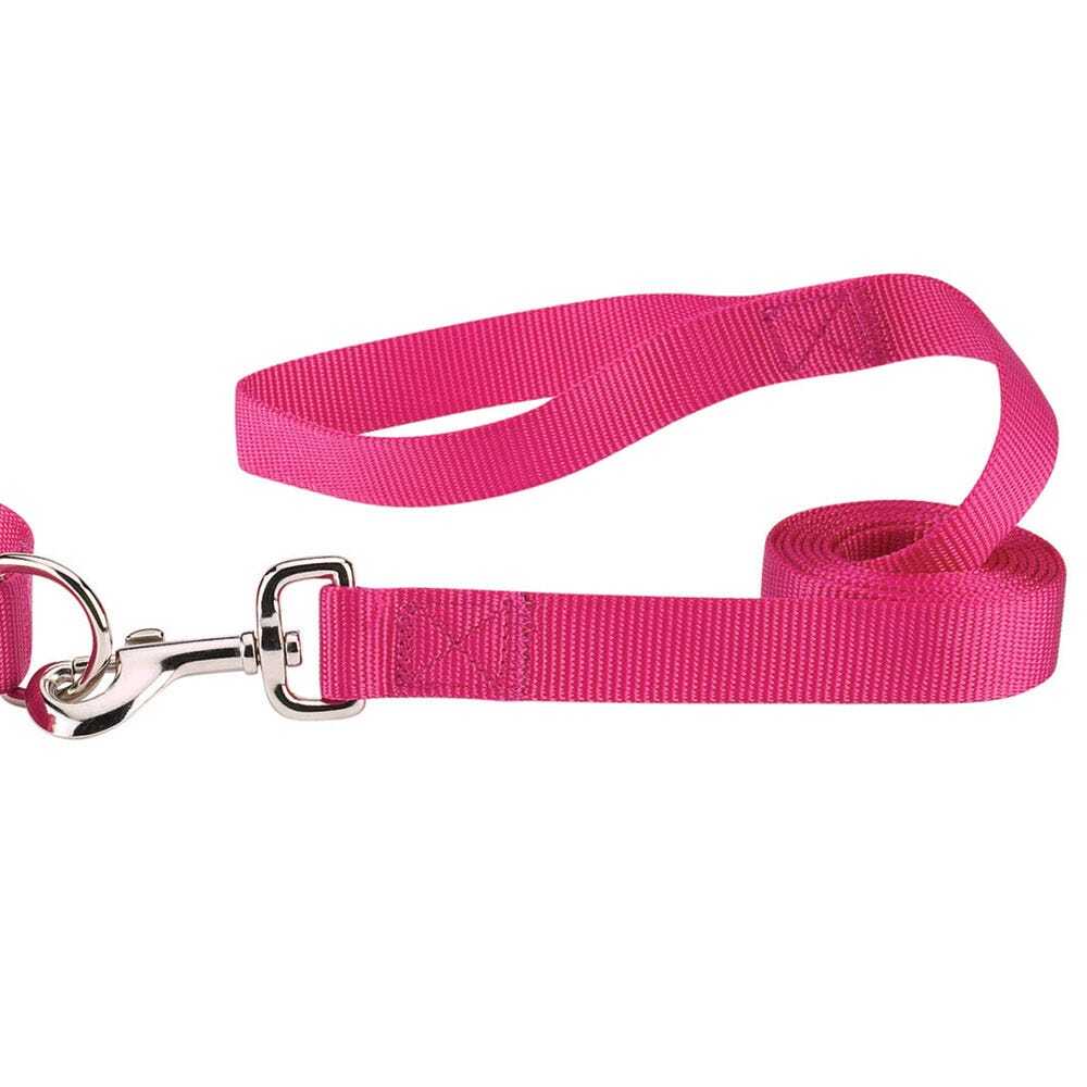 Casual Canine Nylon Lead - Raspberry Sorbet