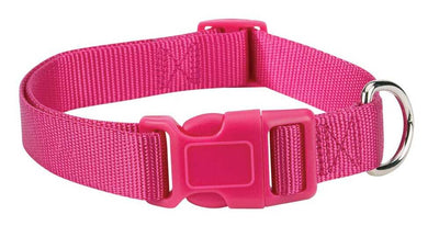 Casual Canine Nylon Dog Collar - Raspberry Sorbet