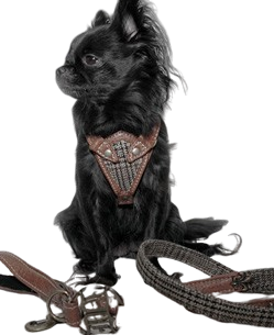 Duke & Dutchess Vegan Leather Glenn Plaid Brown Dog Harness