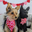 Huxley & Kent Valentine Dog Bandana