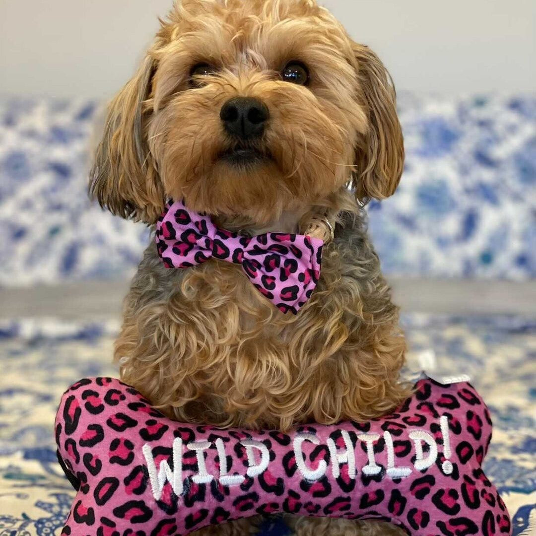 Huxley & Kent Leopard Valentine Dog Bow Tie