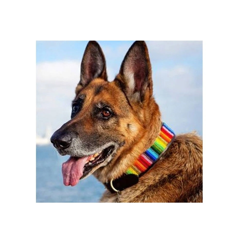 The Kenyan Collection Rainbow Beaded Leather Dog Collar