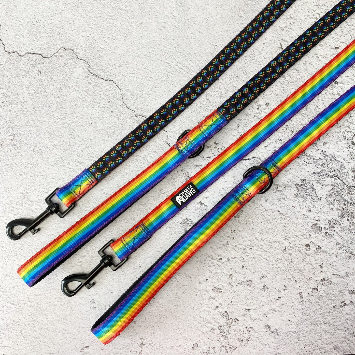 The House Of Dawg Rainbow Dog Leash 5ft