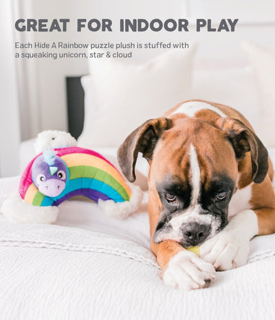 Outward Hound Hide-A-Rainbow Dog Toy