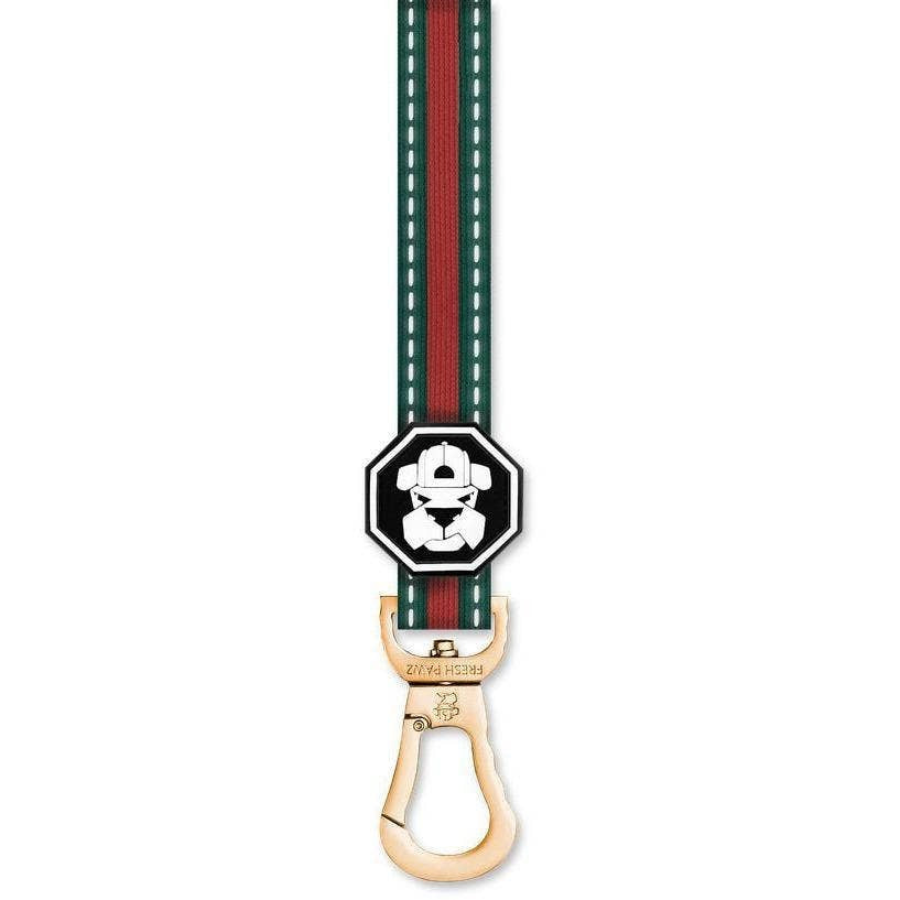 Fresh Pawz G-Stripe Dog Leash