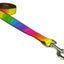 Sassy Rainbow Dog Leash