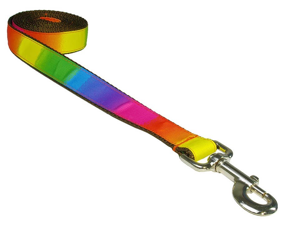 Sassy Rainbow Dog Leash