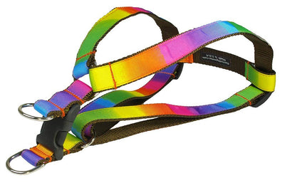 Sassy Rainbow Dog Harness